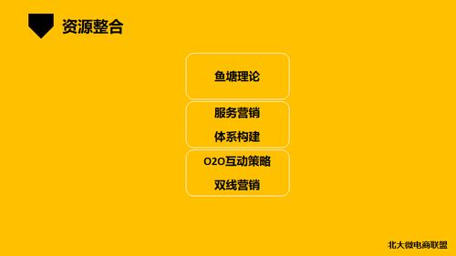 北大微電商聯(lián)盟 移動(dòng)互聯(lián)時(shí)代的企業(yè)IP與品牌營(yíng)銷(xiāo)新范式